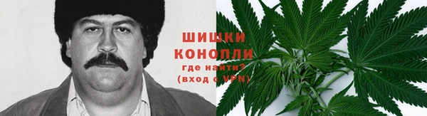 шишки Верхний Тагил