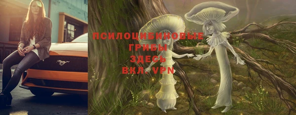 стафф Бронницы