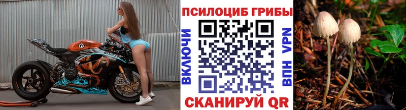 цены наркотик  Иланский  Псилоцибиновые грибы MAGIC MUSHROOMS 
