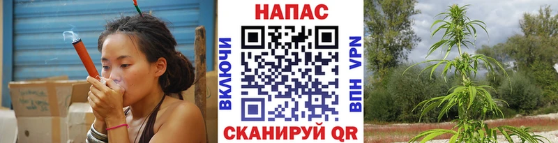 Шишки марихуана конопля Иланский